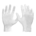 Stretch Poly Gloves, (200/Box)