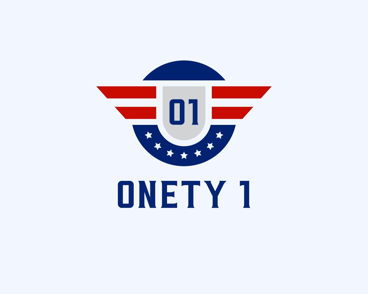 Onety1 llc